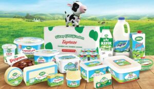 Sütaş Bayilik Veriyor Mu Şartları Ve Ücreti